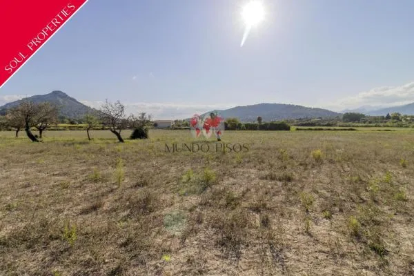 Rustic land in Alcudia, Mallorca, Balearic Islands — photo 1