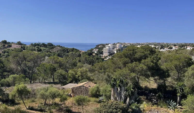 Excellent plot with construction project and approved license in Cala Santanyí — photo 8