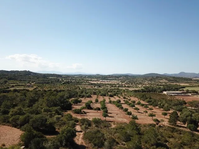 Magnificent rustic finca with mountain and sea views for sale near the Rafa Nadal Sports Academy — photo 12