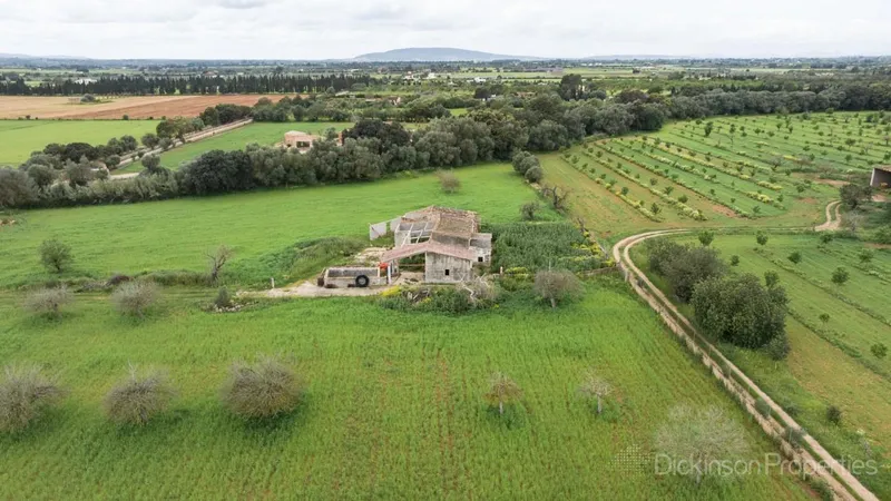A 47,231 m² plot in Binissalem, Mallorca, with an approved building license, offering panoramic mountain views and proximity to the village center. — photo 9