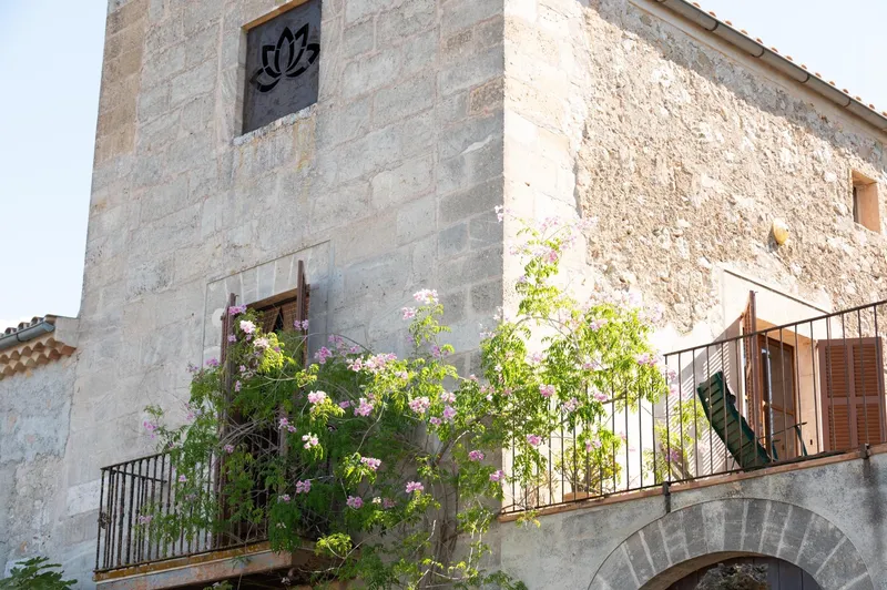 Rustic property - Sineu (Área de Sineu), Built Surface 1407m2, Plot Surface 200000m2, 5 Bedrooms, 4... — photo 5