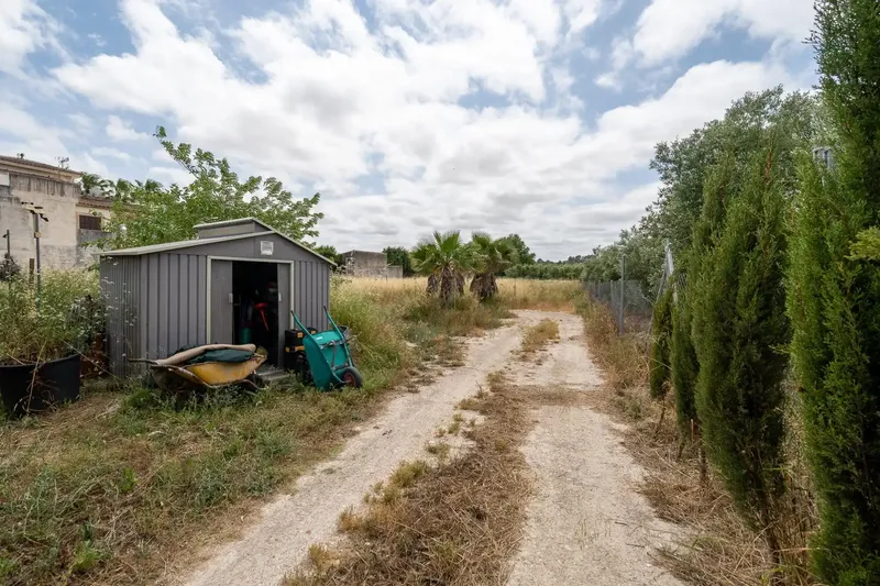 Charming finca with occupancy certificate at the gates of Sant Joan — photo 10