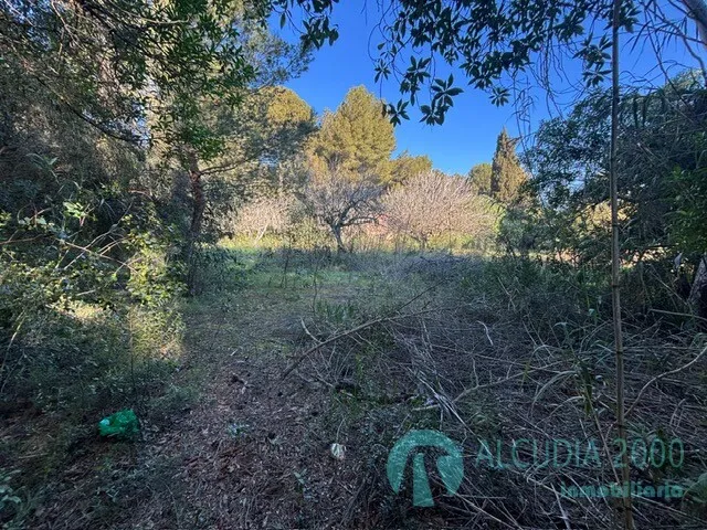 Land — photo 4