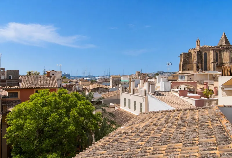 Cozy apartment with charming location in the heart of Palma's old town — photo 1