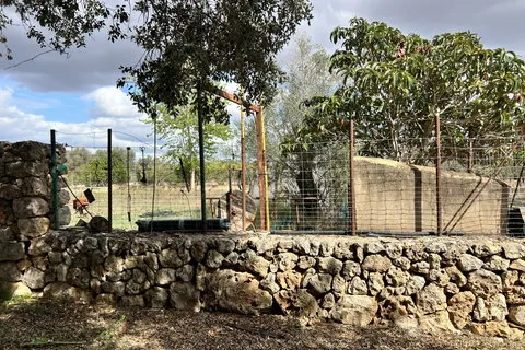 Villa in Costitx, Mallorca — photo 10