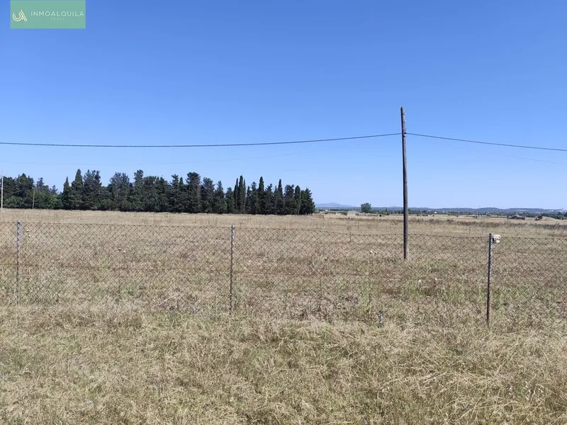 Land in sa Pobla, Province of Balearic Islands — photo 6