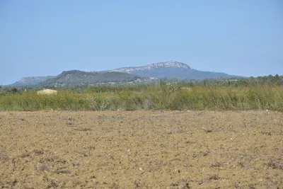 Building plot in Felanitx — photo 1