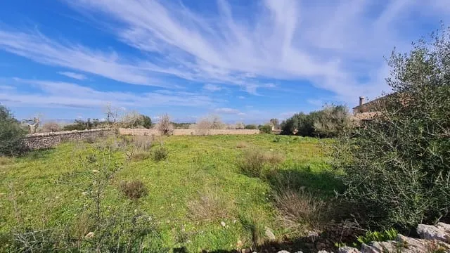 Finca/Country House for sale in Algaida — photo 7
