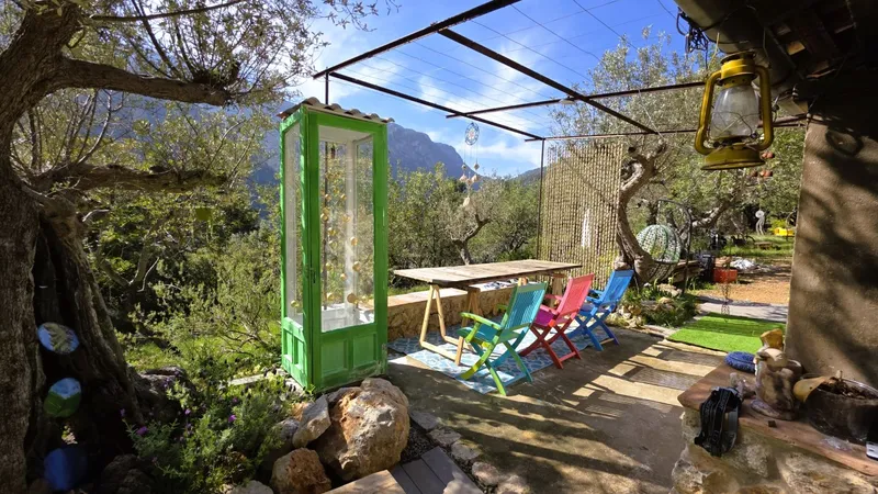 Olive grove with stone cottage and views of the Tramuntana in Sóller — photo 9