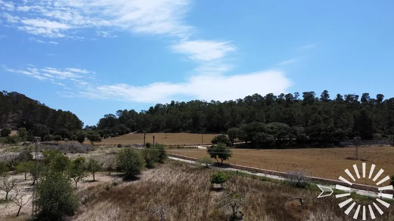 Country Estate for sale in Porreres of 30398 m2 — photo 6