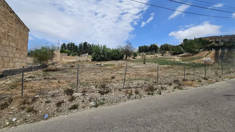 Urban plot for sale in María de la Salut — photo 3