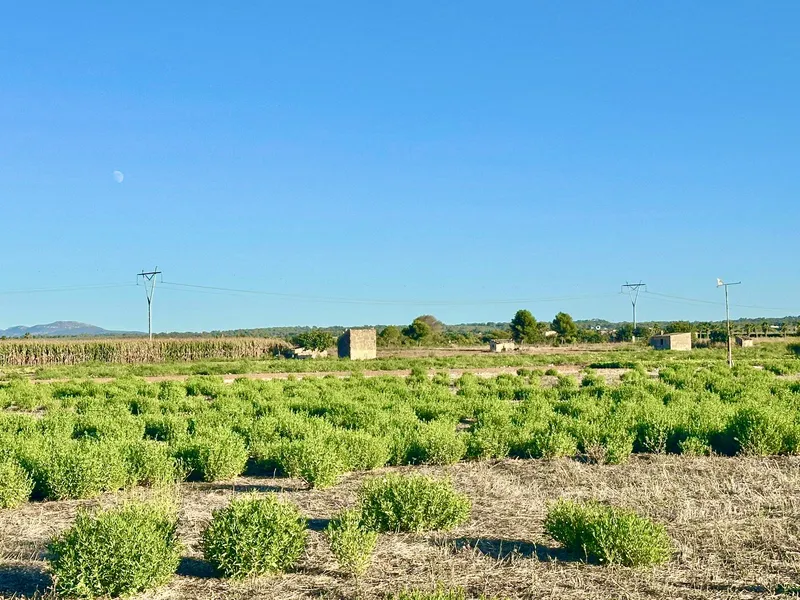 Fabulous building plot with project and building permits — photo 4