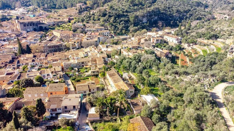 Land in Esporles, Province of Balearic Islands — photo 3