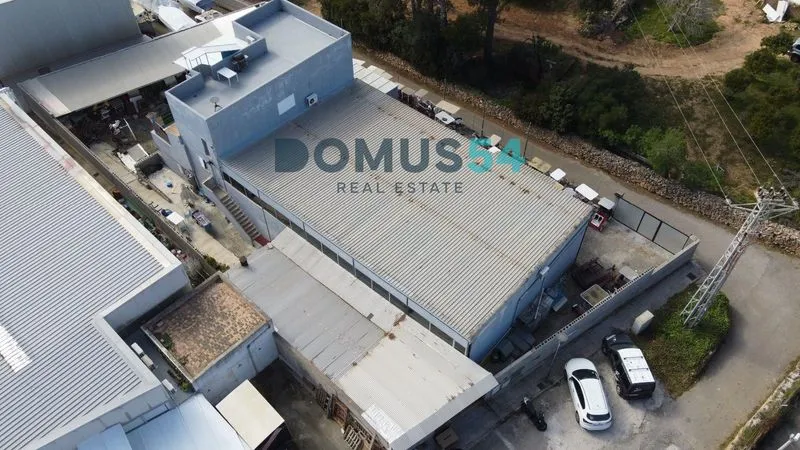 commercial in Alcudia — photo 1