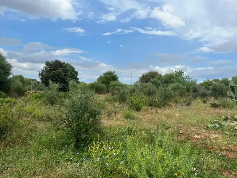 Land for sale 14,500 m², tool shed 30 m², natural water well, another large house can be built — photo 3