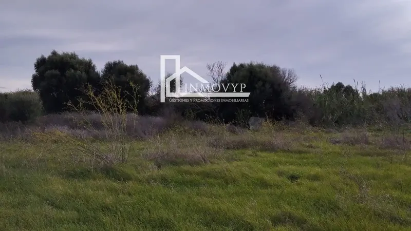 The price of 39,900 euros is for the 3 plots. — photo 3