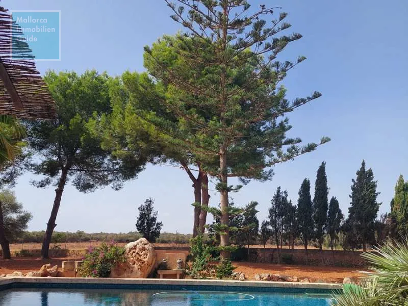 Campos, large finca with warehouses near Es Trenc beach — photo 3