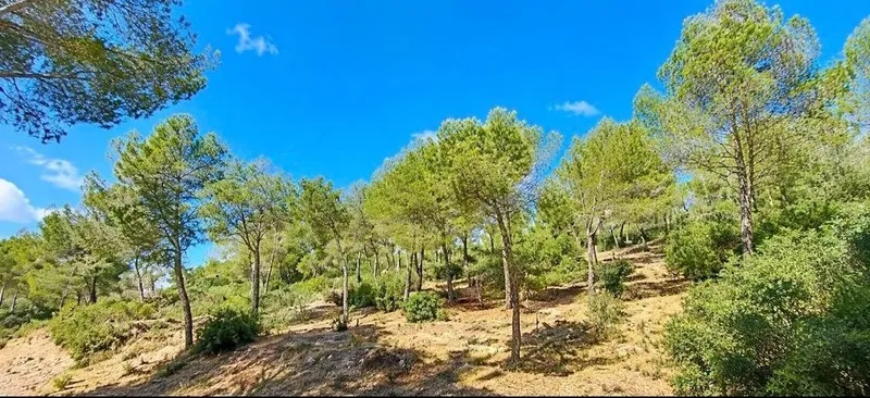 Land in Capdepera, Province of Balearic Islands — photo 3