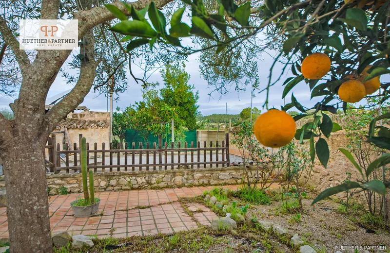 Legal Small Finca with Options in Saint John — photo 10