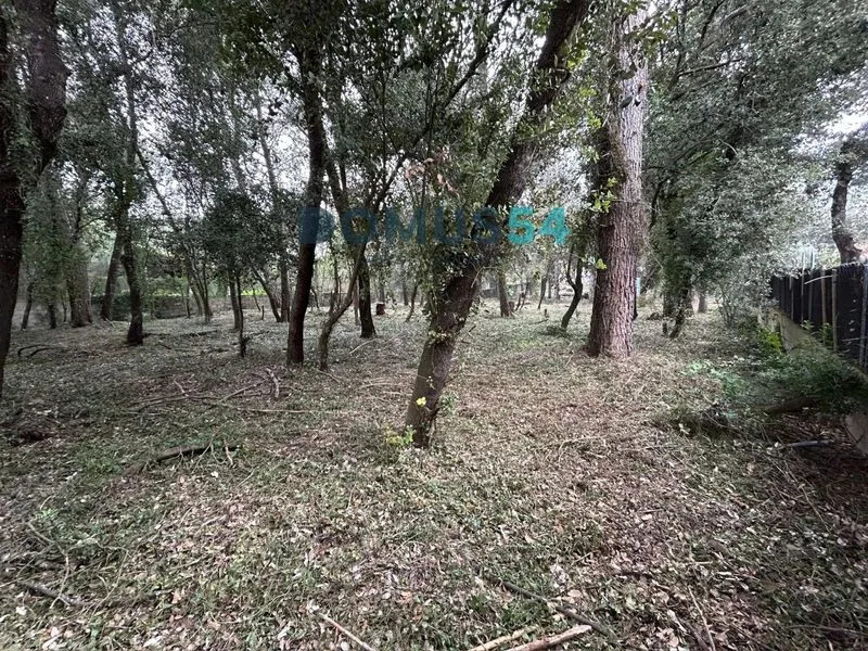 plot in Sa Pobla — photo 1