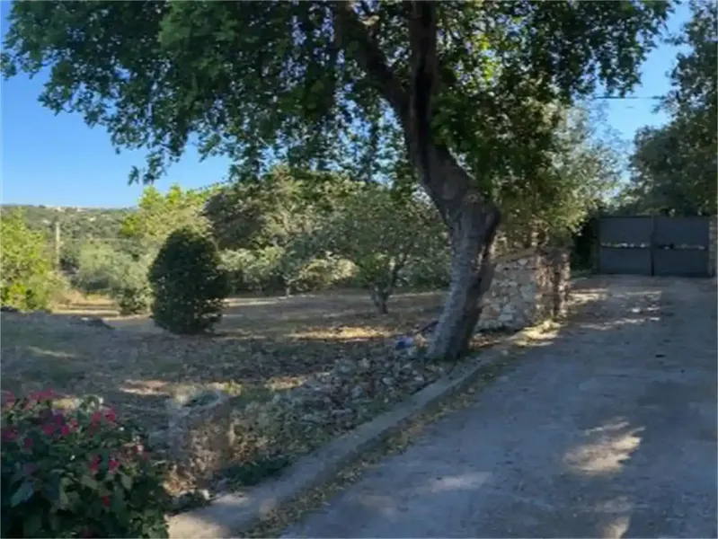 inca en venta en Costitx, con 14800m2 de campo, 300m2 de vivienda 150m2 lavandería, portaza y porche. — photo 2