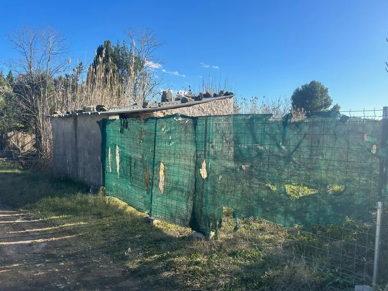 Rustic plot in Sa Pobla — photo 5