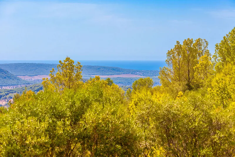 Exklusive Finca mit fantastischer Aussicht und viel Privatsphäre — photo 3