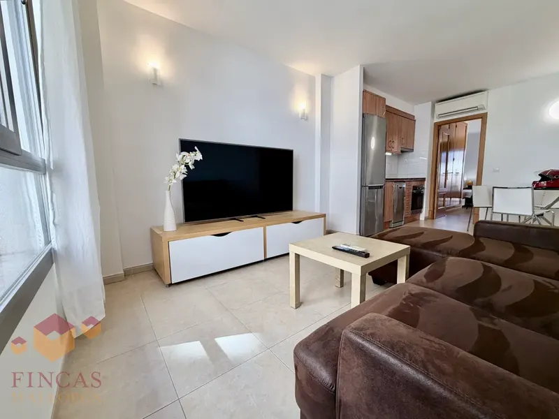 1-bedroom apartment with terrace for rent in Palma (S’Escorxador – Plaza Abu Yahya) – NOT AVAILABLE — photo 8