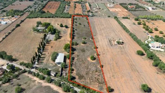 Rural Land - Algaida (Nucleo urbano 54) , Plot Surface 15597m 2 . — photo 1