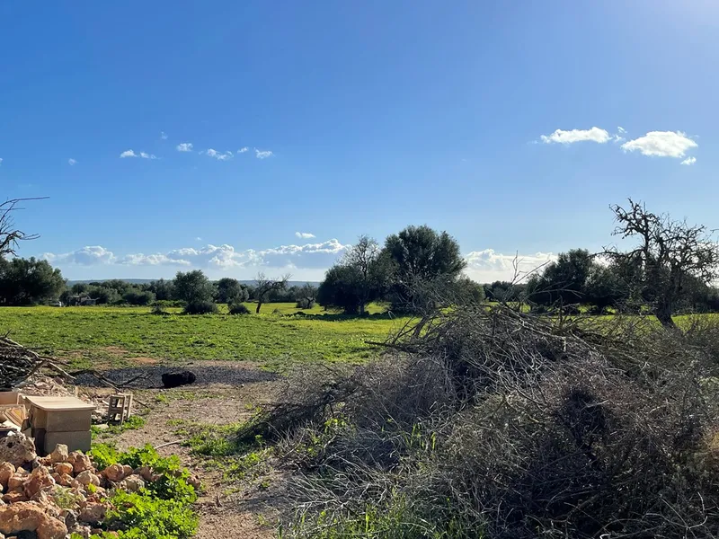 Small rustic finca with land of 20,000 m² for sale with project for a detached house of 225 m² — photo 7