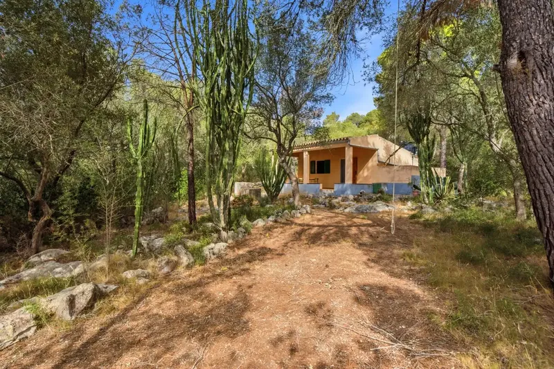 If you are looking for a refuge to enjoy the tranquility of the Mallorcan countryside, surrounded by nature and with excellent connections, this pro — photo 11