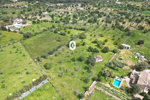Land in Selva, Mallorca — photo 5