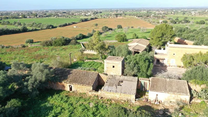 Big finca near Campos with many possibilities — photo 4