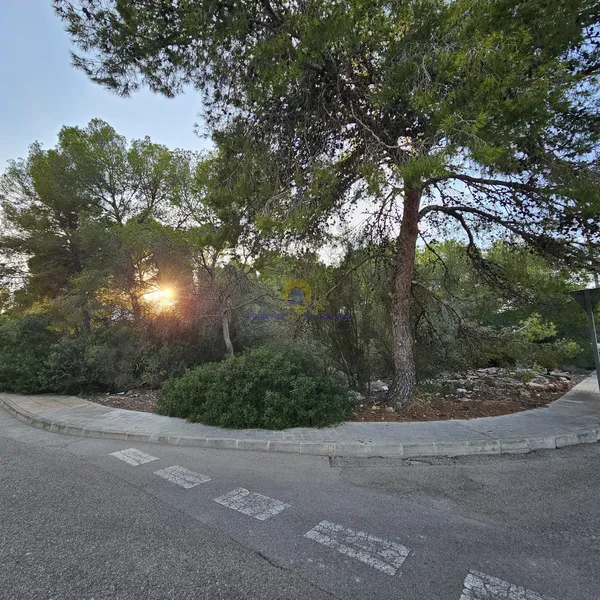 Land for sale in Calvià, Sol de Mallorca — photo 1