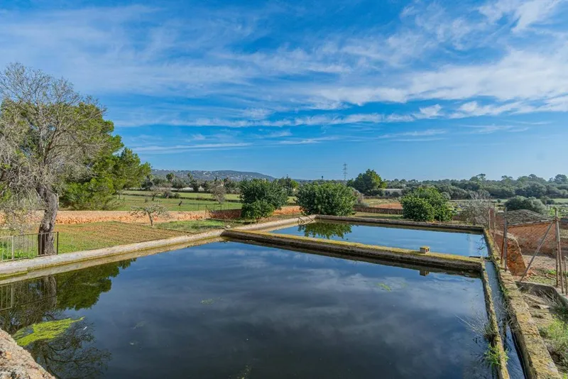 Rural or Farmhouse in Palma de Mallorca, Province of Balearic Islands — photo 4