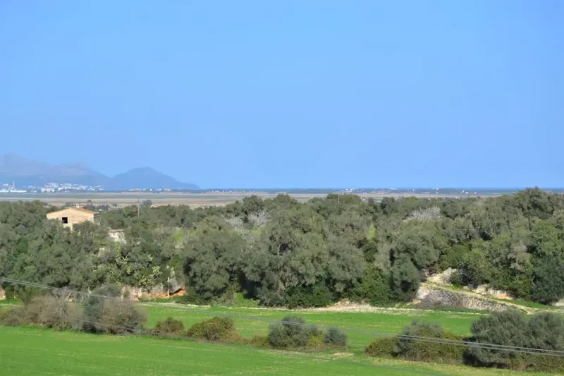 Fantastic estate of 23270 m2 located in General Rustic Land, for sale in Muro with incredible views of the Bay of Alcudia — photo 3