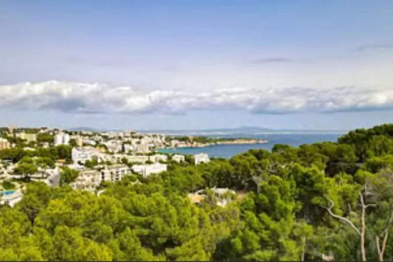 Bendinat – Wonderful large flat with sea views — photo 1