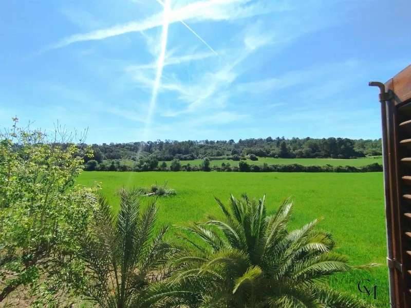 Finca/Country House for rent in Sineu, Mallorca — photo 12
