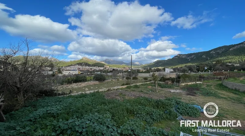 Country estate for renovation between the village and the port of Andratx — photo 7