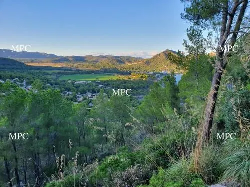 Plot for sale in Costa de Canyamel — photo 1