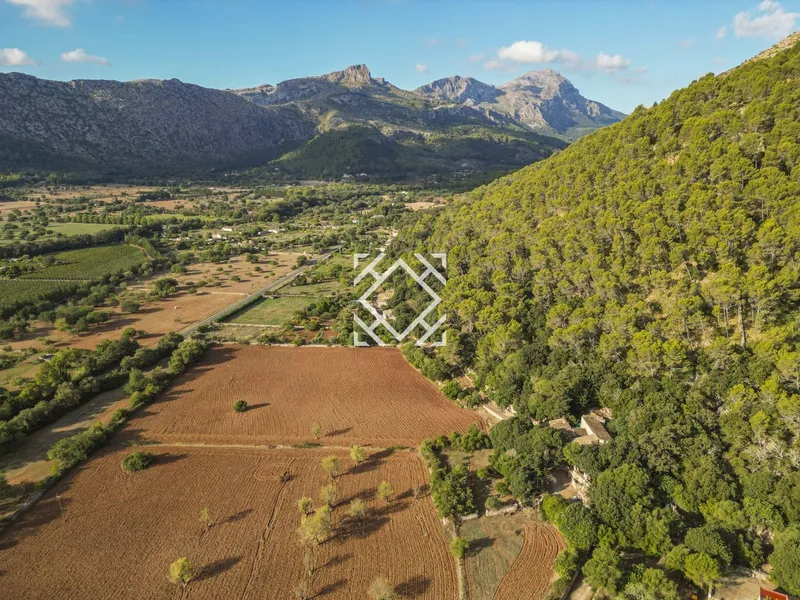 Historic country house for sale in Vall d'en March Pollensa, Mallorca — photo 3