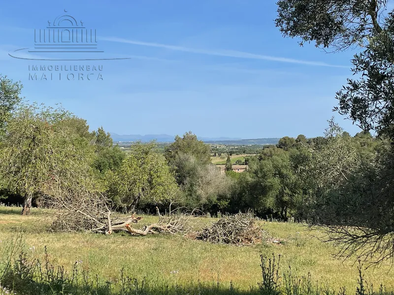 Finca Neubauprojekt zum Top Preis — photo 9