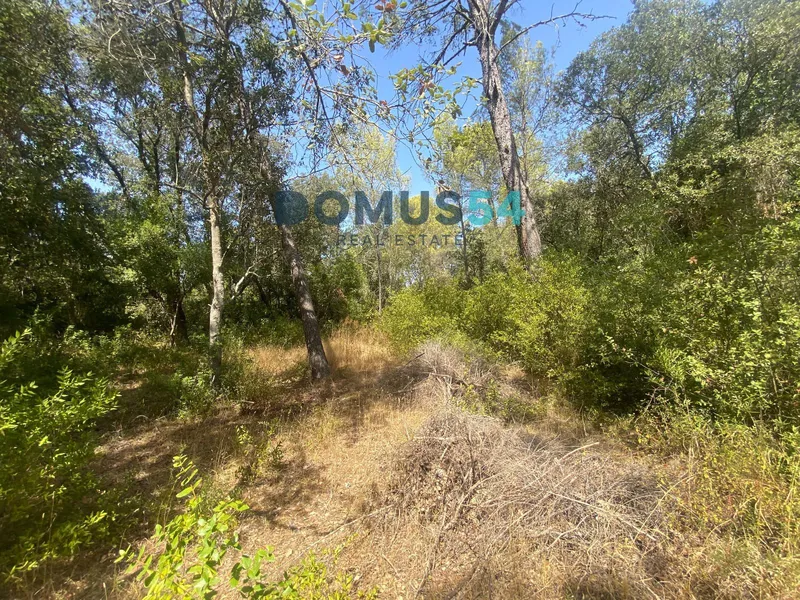 Non-building rural land in Alcudia. Holm oak forest. — photo 6