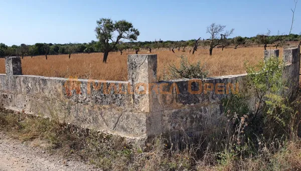 Plot with project and license in Manacor — photo 3