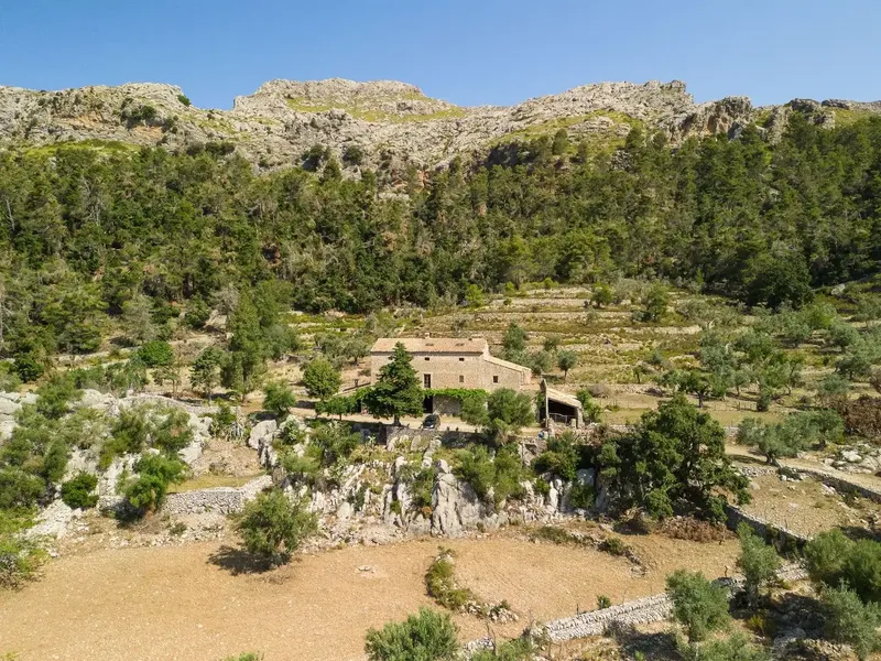 Impressive estate of 800,000 m2 between Pollensa and Lluc in the municipality of Escorca with a three-story house of 736 m2 in the heart of l — photo 3