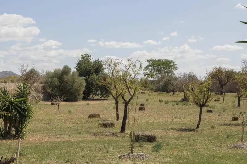 Unique opportunity in Inca, Son Amonda! Ideal for families or investors! — photo 6