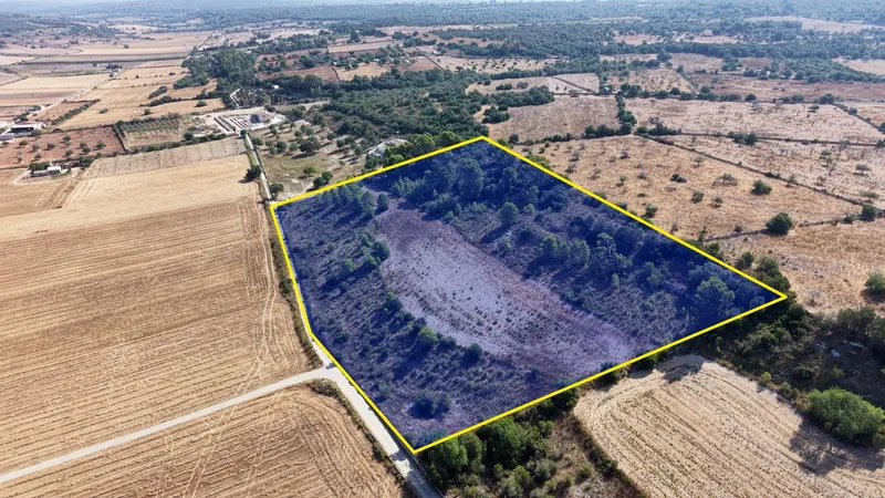 Buildable plot of 29,547 m² with open views in Petra — photo 2