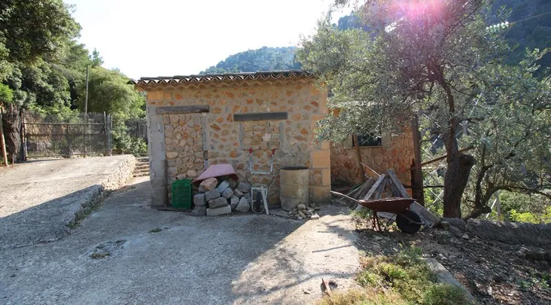 Olive grove in quiet area with semi-renovated little house — photo 8