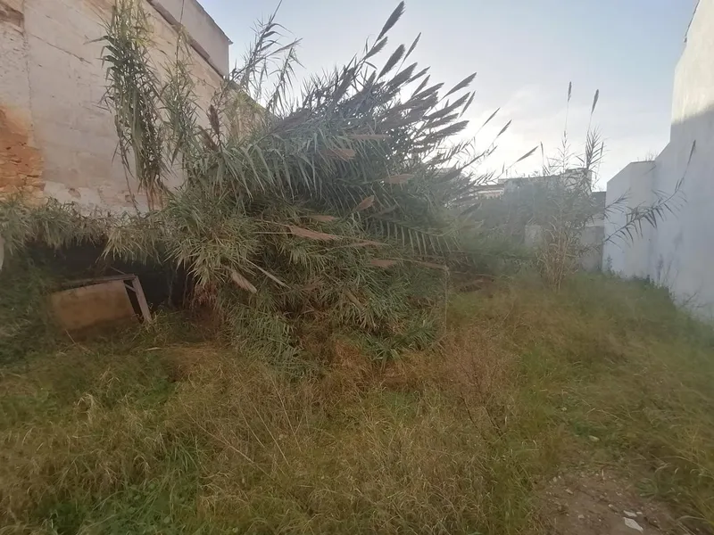 Buildable plot in the center of Felanitx — photo 4