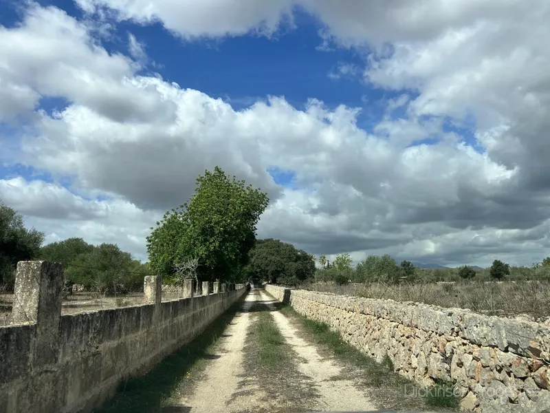 Charming rustic finca in Costitx — photo 8
